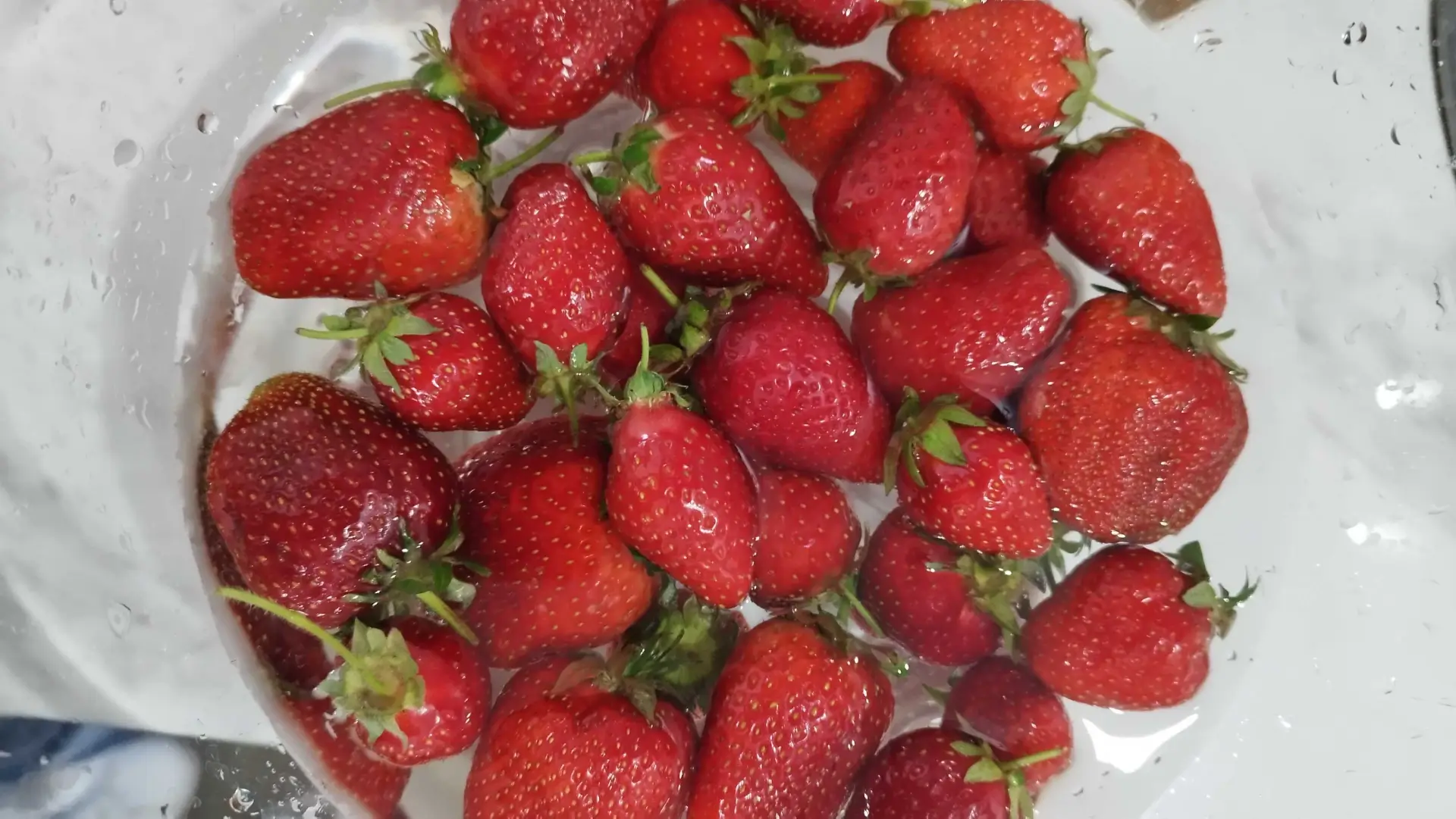 jagode užina za trudnice